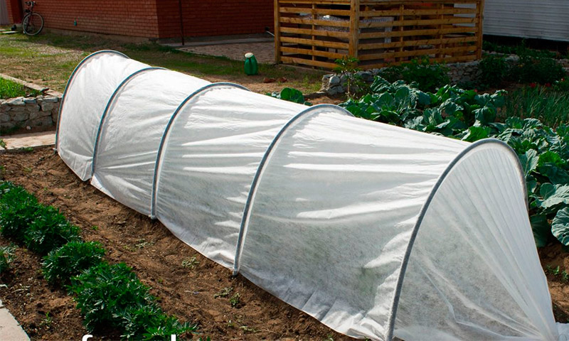 Greenhouse Fazenda - reviews of vegetable growers about their use