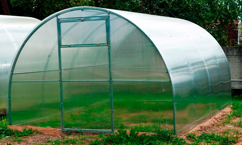 Greenhouse Agrosfera - beoordelingen van zomerbewoners en hun aanbevelingen