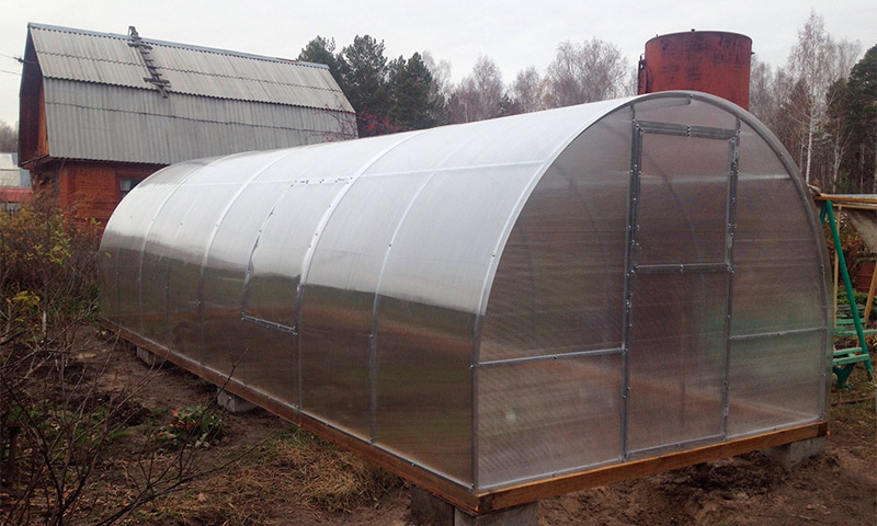 Greenhouse Dachnitsa - reviews and ratings for its use