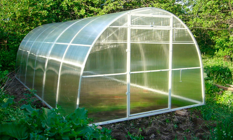 Greenhouse Kama - reviews and opinions of vegetable growers