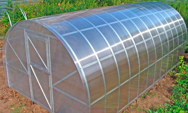 Greenhouse Kinovskaya - reviews and recommendations of vegetable growers