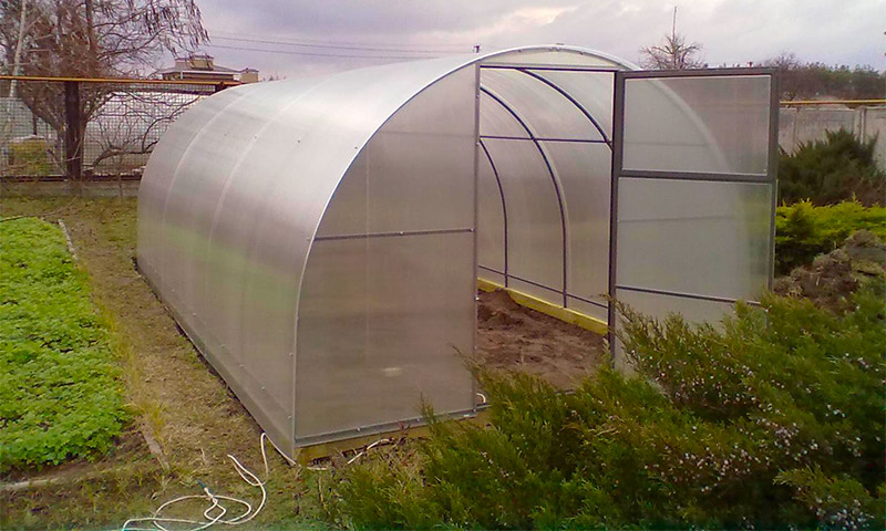 Greenhouse Siberian AutoIntelligence - reviews of vegetable growers