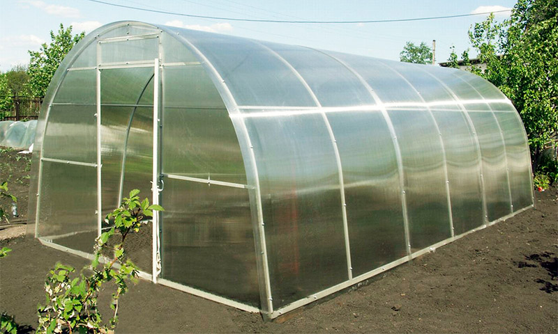 Greenhouse Uralochka - reviews and recommendations for its use