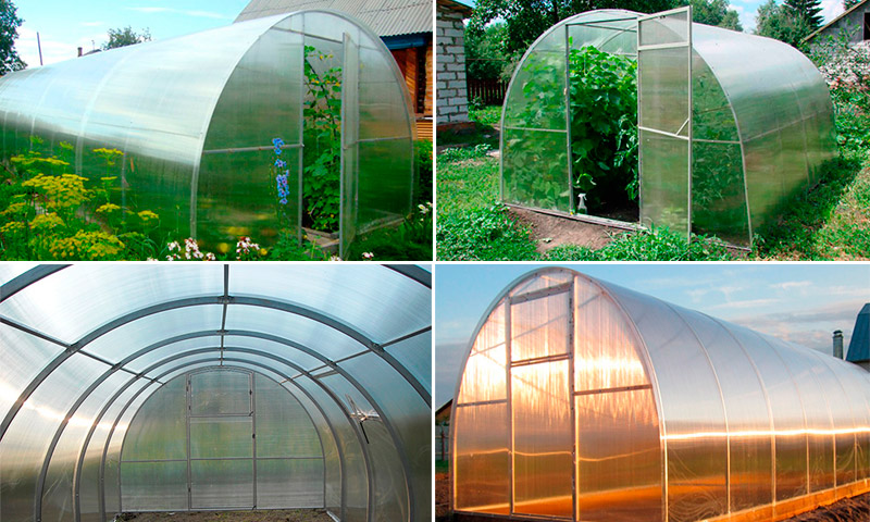 Greenhouses GreenBox - beoordelingen en beoordelingen van inwoners van de zomer voor hun gebruik