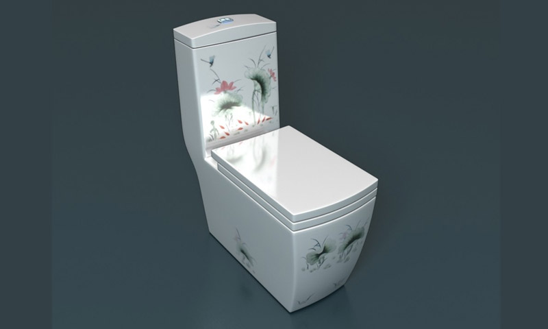 Monoblock toilets- รีวิวและคำแนะนำของผู้ใช้
