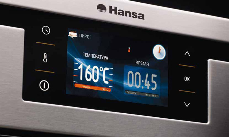 Guest reviews and opinions on Hansa ovens
